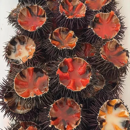 게스트하우스 Nicolhouse 20 바리